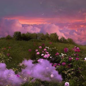 Meet your Posher, Dani